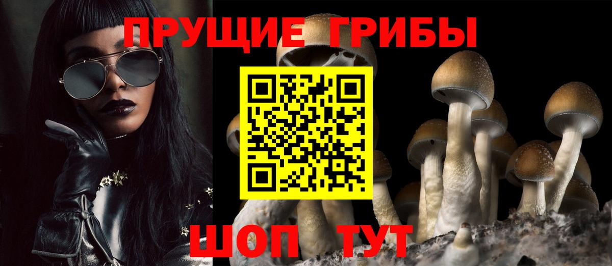 Псилоцибиновые грибы мухоморы  Вход с VPN  Тайшет 