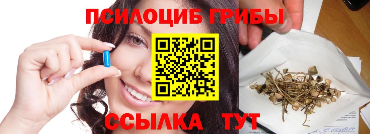 Псилоцибиновые грибы мицелий Тайшет